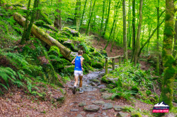 2026-08-22 KTRE-Klause-120129-20260822-4351